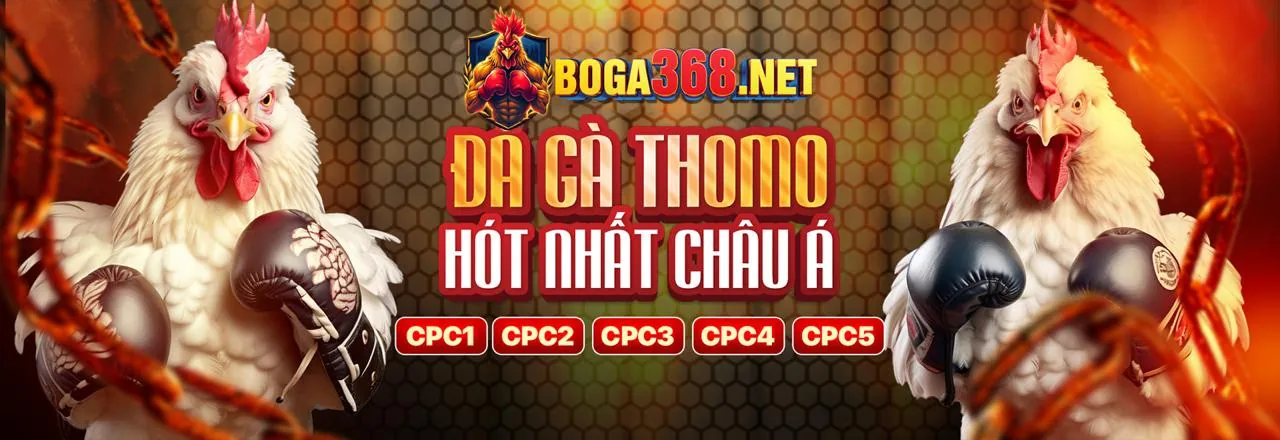 Giao diện ứng dụng 97vn trên điện thoại