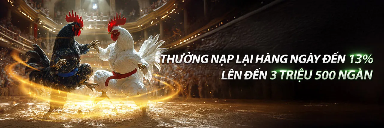 Các tài liệu pháp lý và quy định của 97vn